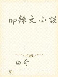 np辣文小说
