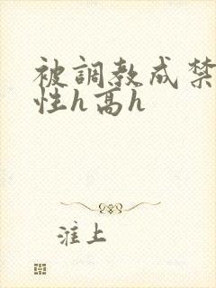 被调教成禁脔双性h高h