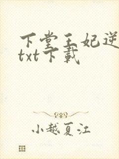 下堂王妃逆袭记txt下载