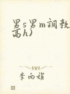 男s男m调教(高h)