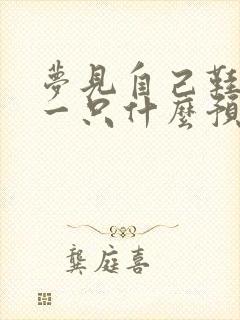 梦见自己鞋丢了一只什么预兆