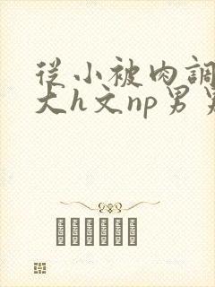 从小被肉调教到大h文np男男封面