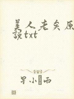 美人老矣原著小说txt封面