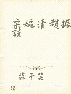 宋婉清赵振国小说封面