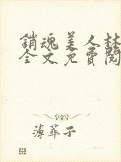 销魂美人林婷婉全文免费阅读小说