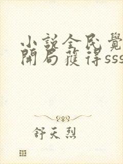 小说全民觉醒:开局获得sss级天赋全文阅读