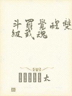 斗罗觉醒双生神级武魂