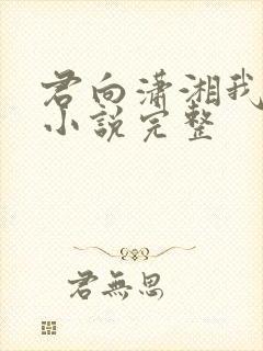 君向潇湘我向秦小说完整