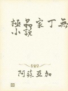 极品家丁无删减小说