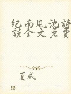 纪南风沈诗澜小说全文免费阅读