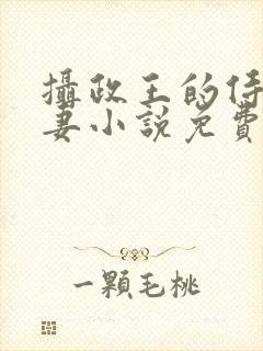 摄政王的侍爱逃妻小说免费阅读