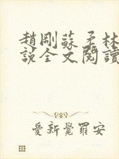 赵刚苏柔林风小说全文阅读