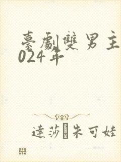 台剧双男主剧2024年