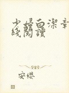 少妇白洁章节在线阅读