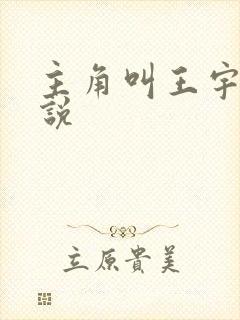 主角叫王宇的小说