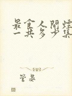 最食人间烟火色一共多少集