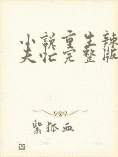 小说重生辣妻撩夫忙完整版未删减小说封面