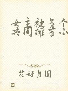 女主被多个男主共同拥有小说封面