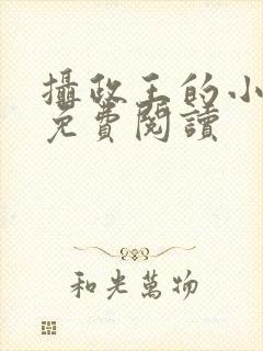 摄政王的小宠妃免费阅读