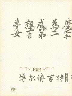 梦想成为魔法少女有第二季吗