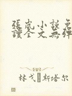 张岚小说免费阅读全文无弹窗