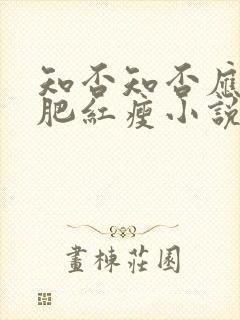 知否知否应是绿肥红瘦小说在线看封面