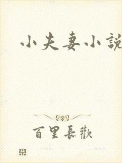 小夫妻小说