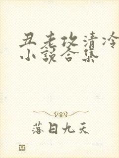 丑老攻清冷美人小说合集