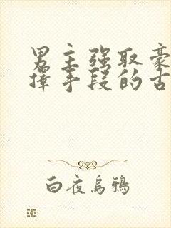 男主强取豪夺不择手段的古言