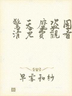 惊天魔盗团4高清免费观看