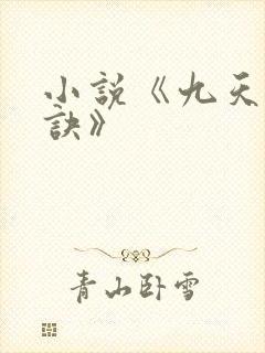 小说《九天斩神诀》