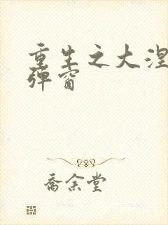 重生之大涅磐无弹窗