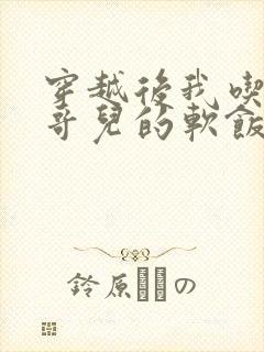 穿越后我吃到了哥儿的软饭炉山灰