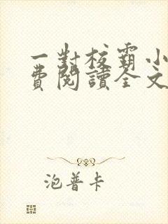 一对校霸小说免费阅读全文无弹窗