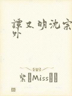 谭又明沈宗年番外封面