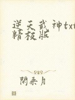 逆天武神txt精校版
