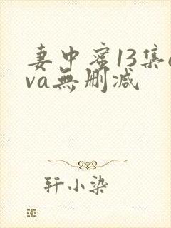 妻中蜜13集ova无删减
