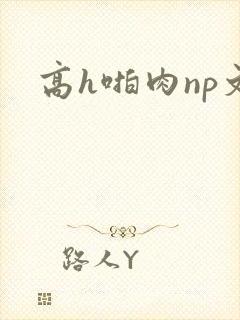 高h啪肉np文