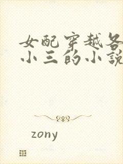 女配穿越各个做小三的小说封面