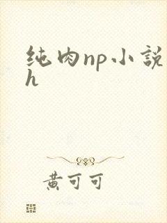 纯肉np小说高h