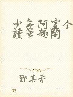 少年阿宾全文阅读笔趣阁封面