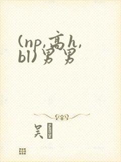 (np,高h,bl)男男