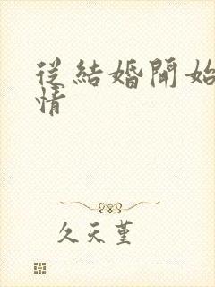 从结婚开始的爱情封面