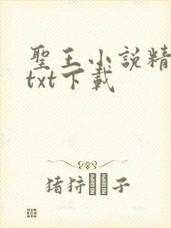 圣王小说精校版txt下载
