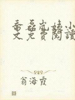 乔磊岚姨小说全文免费阅读封面