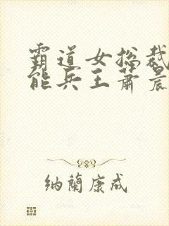 霸道女总裁的全能兵王萧晨