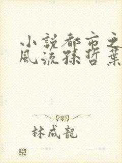 小说都市之医武风流孙哲叶巧