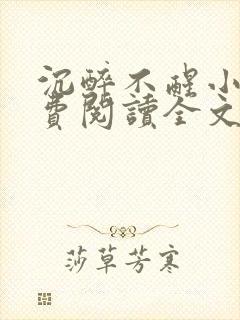 沉醉不醒小说免费阅读全文无弹窗