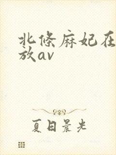 北条麻妃在线播放av