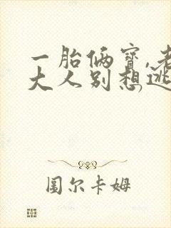 一胎俩宝,老婆大人别想逃大结局